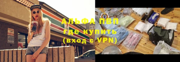 ГАЛЛЮЦИНОГЕННЫЕ ГРИБЫ Губаха
