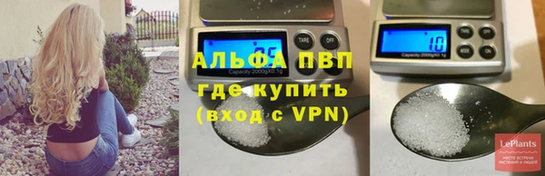 стафф Бронницы