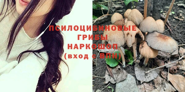 меф Богородицк