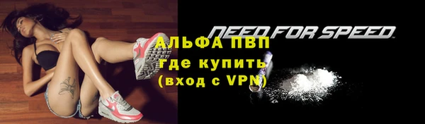 марки lsd Белокуриха