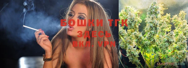 трава Бородино