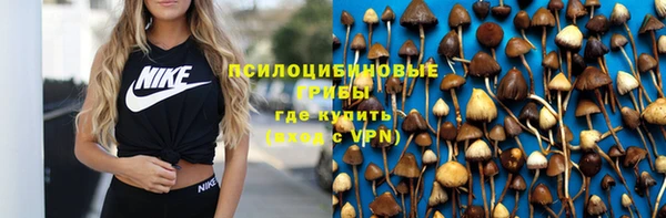 марки lsd Белокуриха