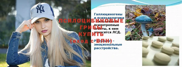 гашик Богородск