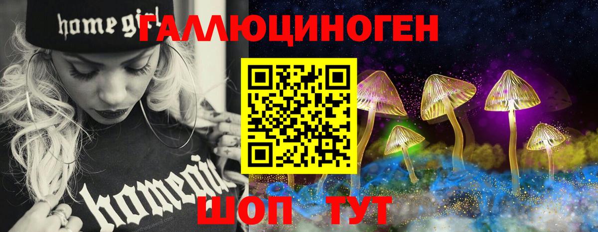 Псилоцибиновые грибы Psilocybe Луховицы